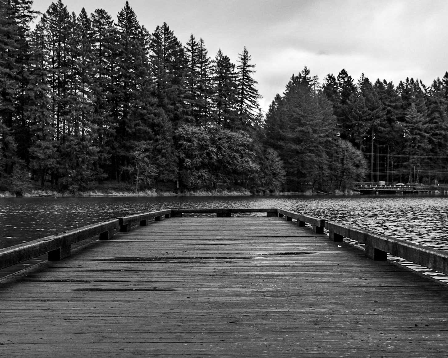 February 7. Along the Dock.   Lacamas Lake Heritage Park, Camas, Washington, United States