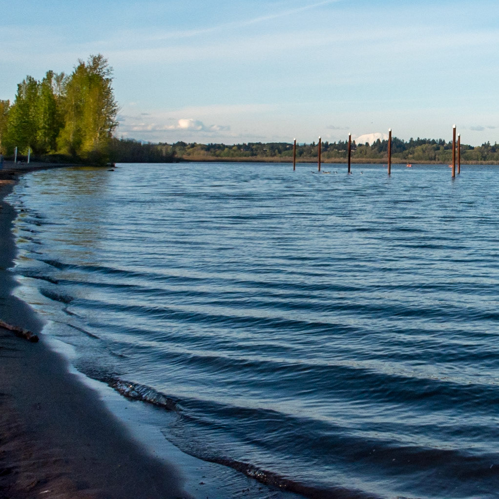 Vancouver Lake Regional Park, Vancouver, Washington, United States