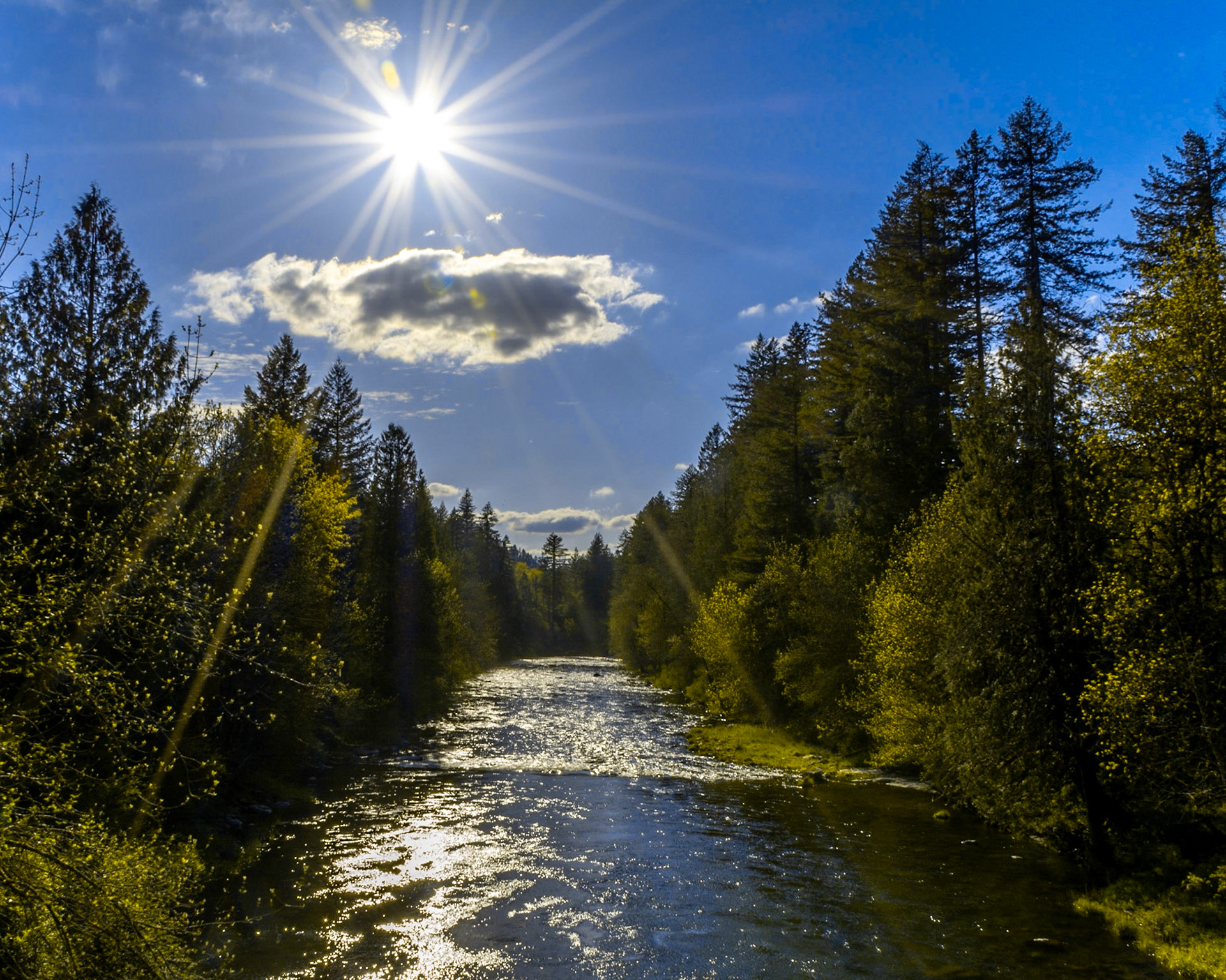 April 19. Washougal River.  Vernon Street Bridge, Washougal, Washington, United States