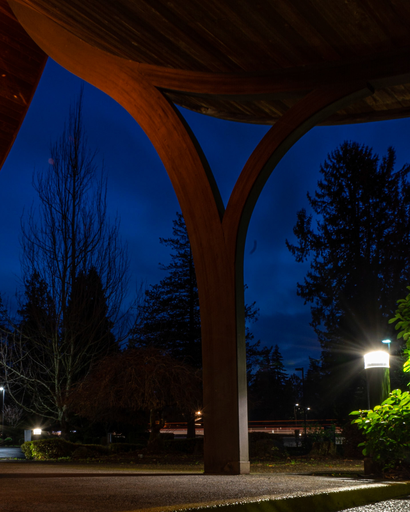 December 15. Chapel Curves.  Albertina Kerr Centers, Portland, Oregon, United States