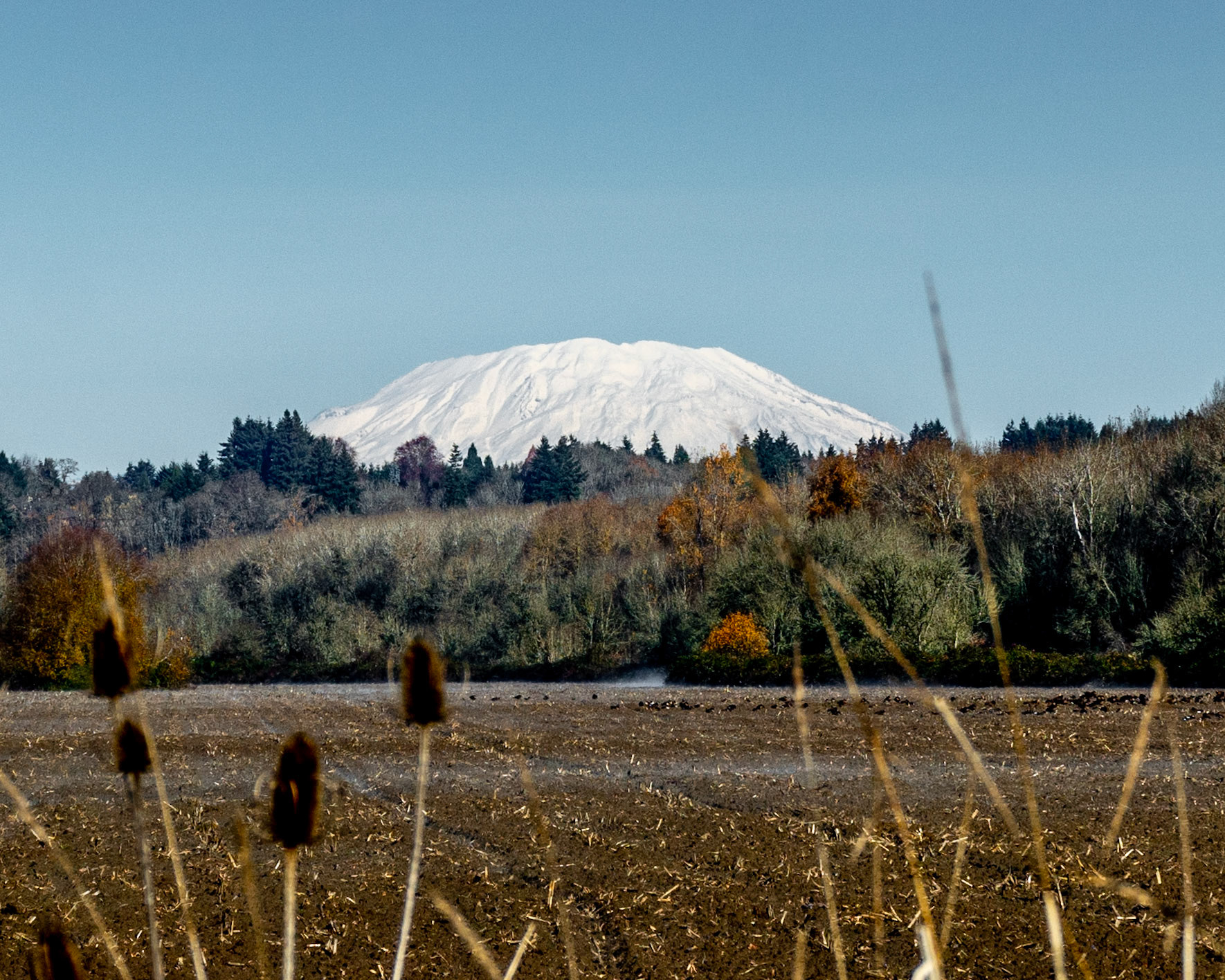 Vancouver Lake Park, Vancouver, Washington, United States