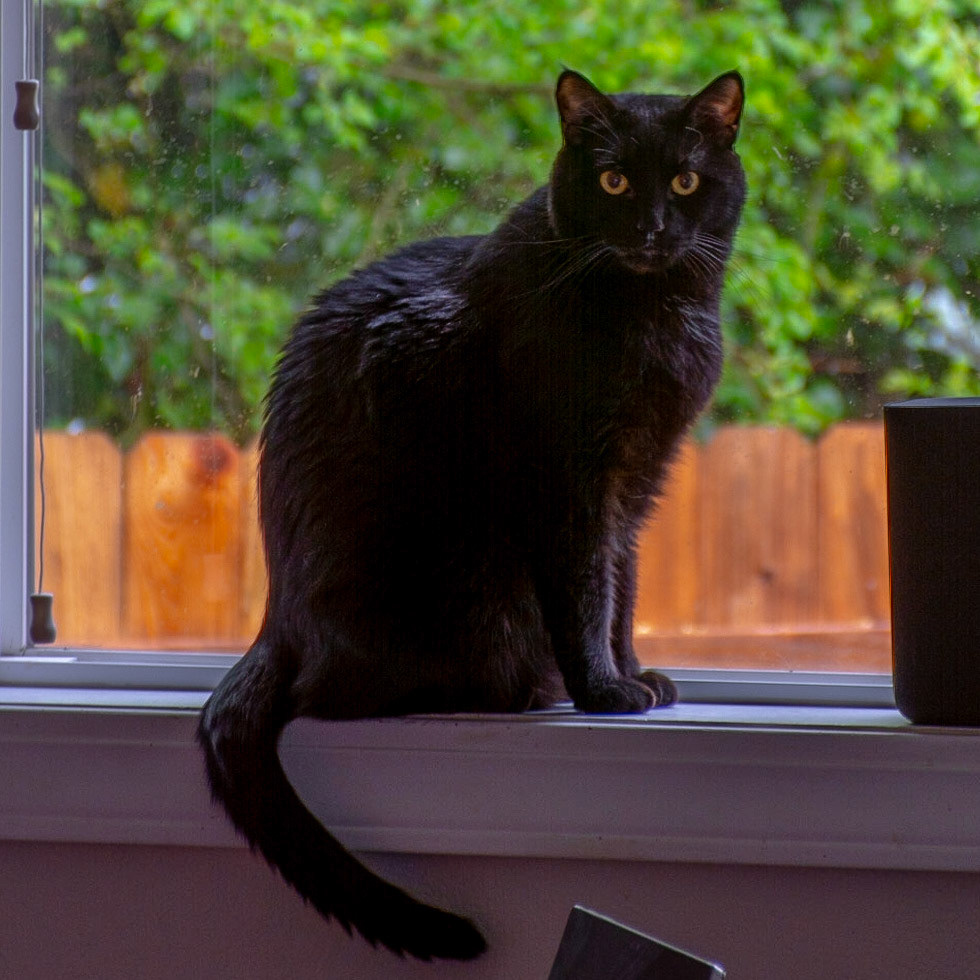 April 25. Handsome Boy.   Bennett/Warner, Camas, Washington, United States