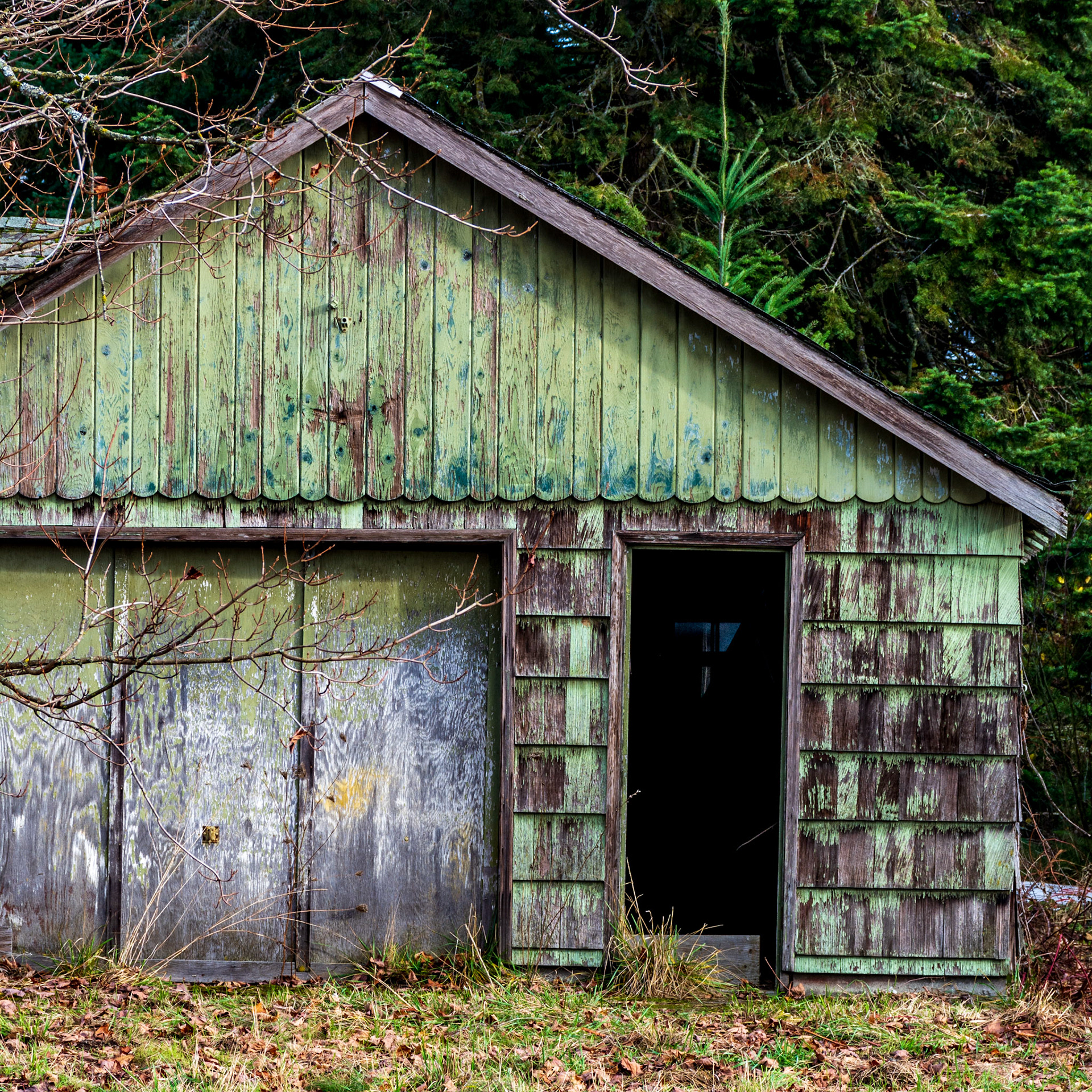 November 26. What's Within?  Vancouver, Washington, United States