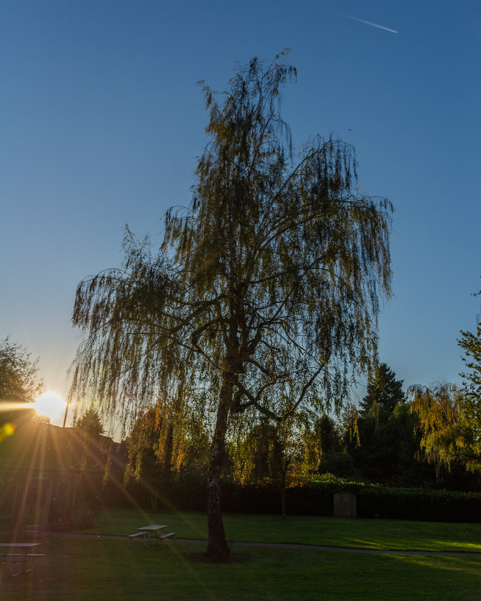 October 15. Autumn Evening.  Parker's Landing Historical Park, Washougal, Washington, United States