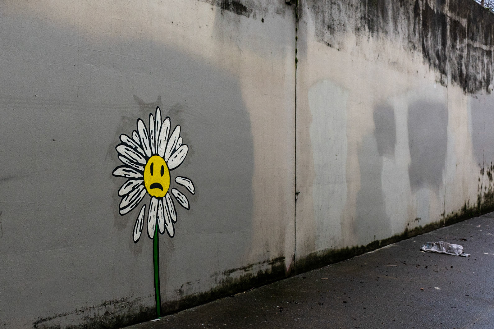 January 5.  Sad Daisy.  I-205 Glenn Jackson Bridge, Portland, Oregon, United States