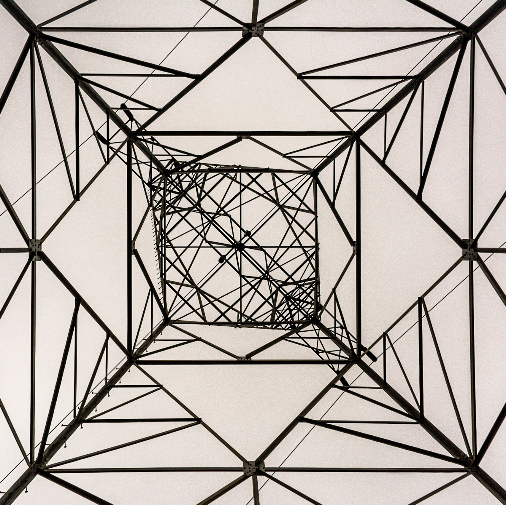 February 9. Geometric.   Washougal River Greenway, Washougal, Washington, United States