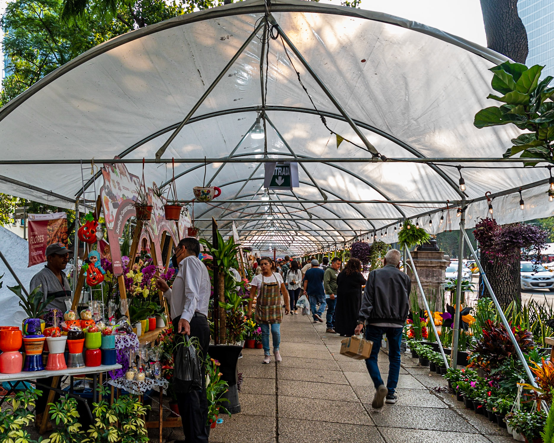 Paseo de la Reforma, Mexico City, Mexico