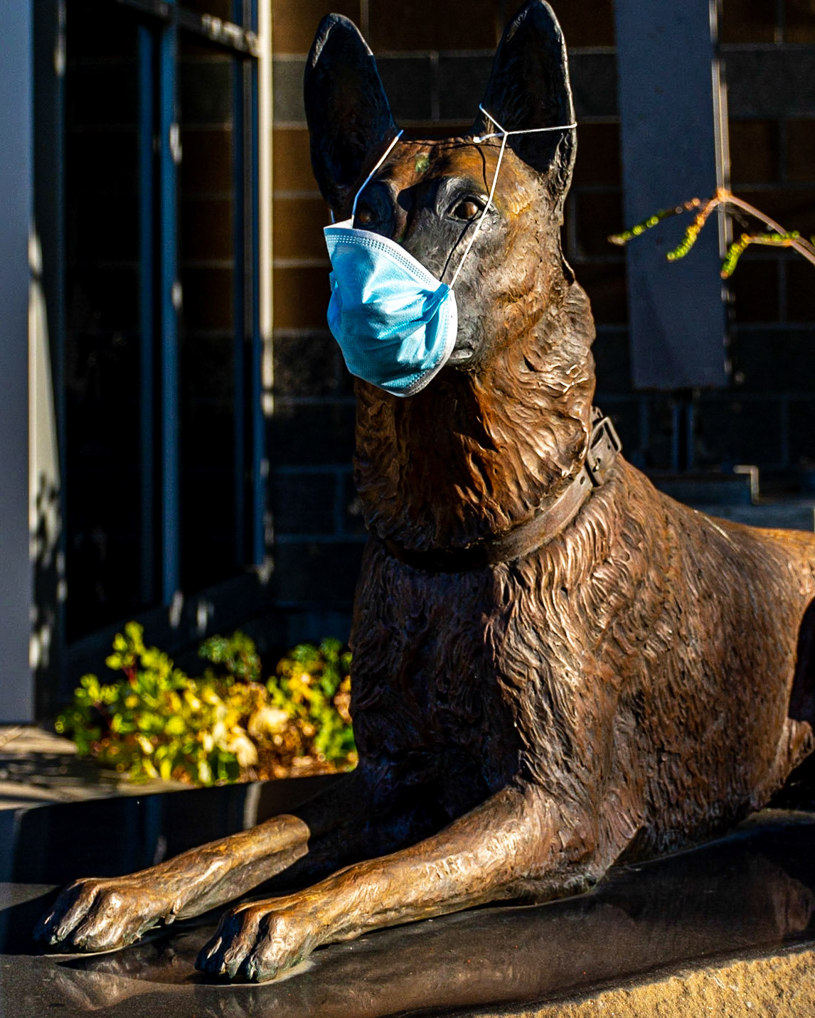 August 14. Good Boy.   Washougal Police Department, Washougal, Washington, United States