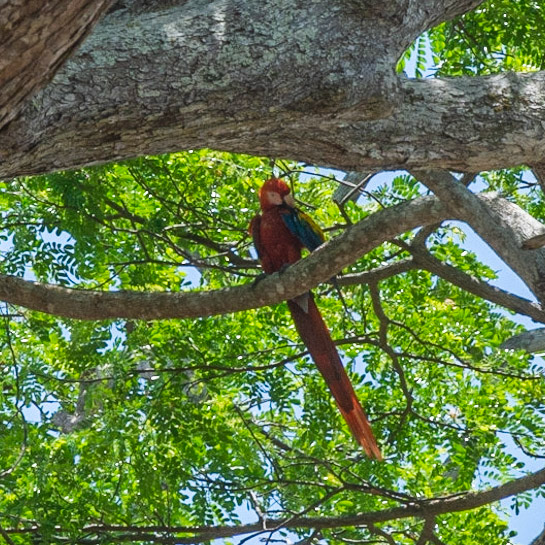Esterillos Oeste, Coata Rica