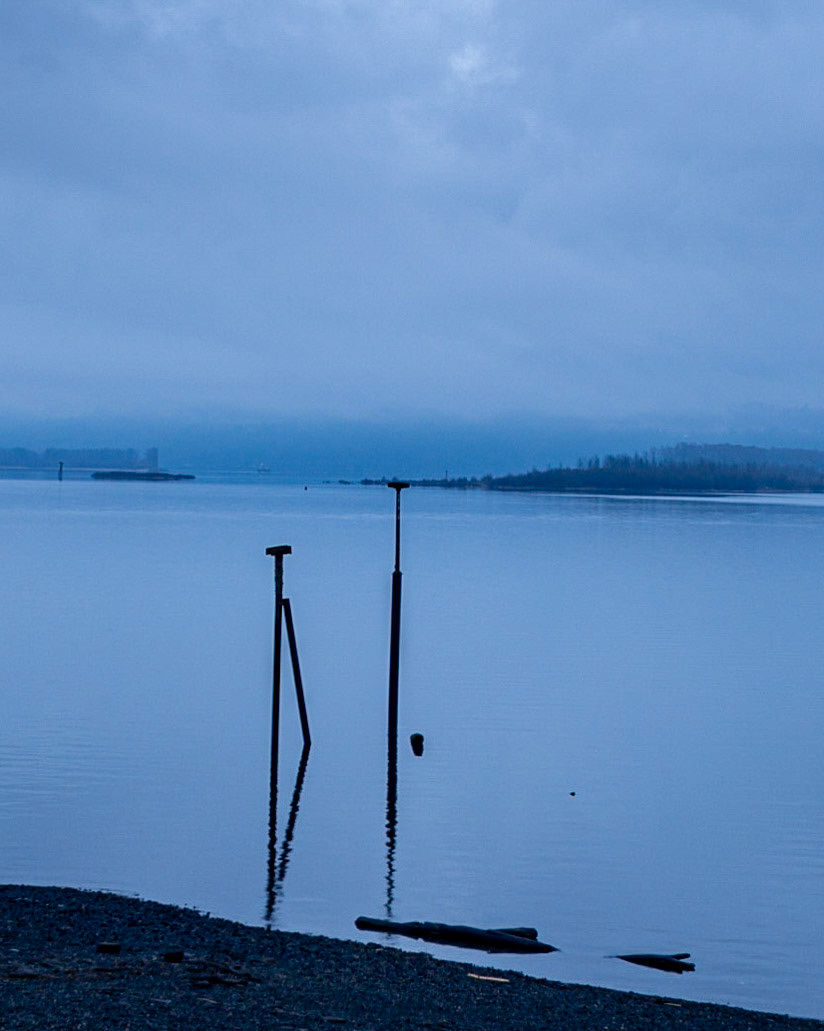 January 9.  Foggy Afternoon.  Washougal Waterfront Park, Washougal, Washington, United States