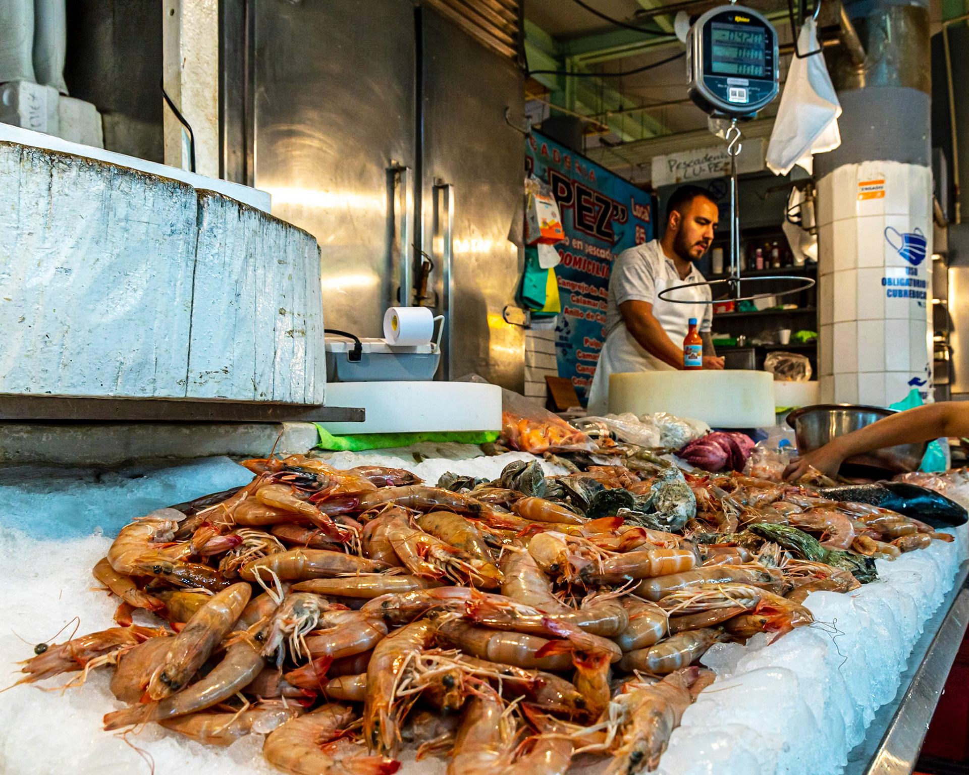 Mercado de San Juan, Mexico City, Mexico