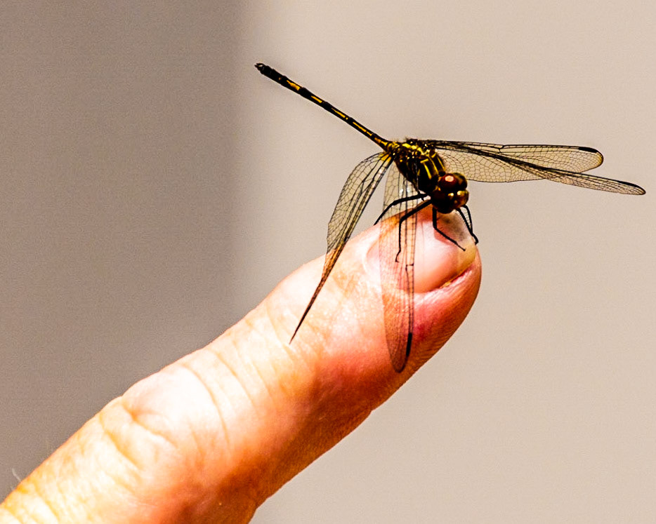 Esterillos Oeste, Coata Rica