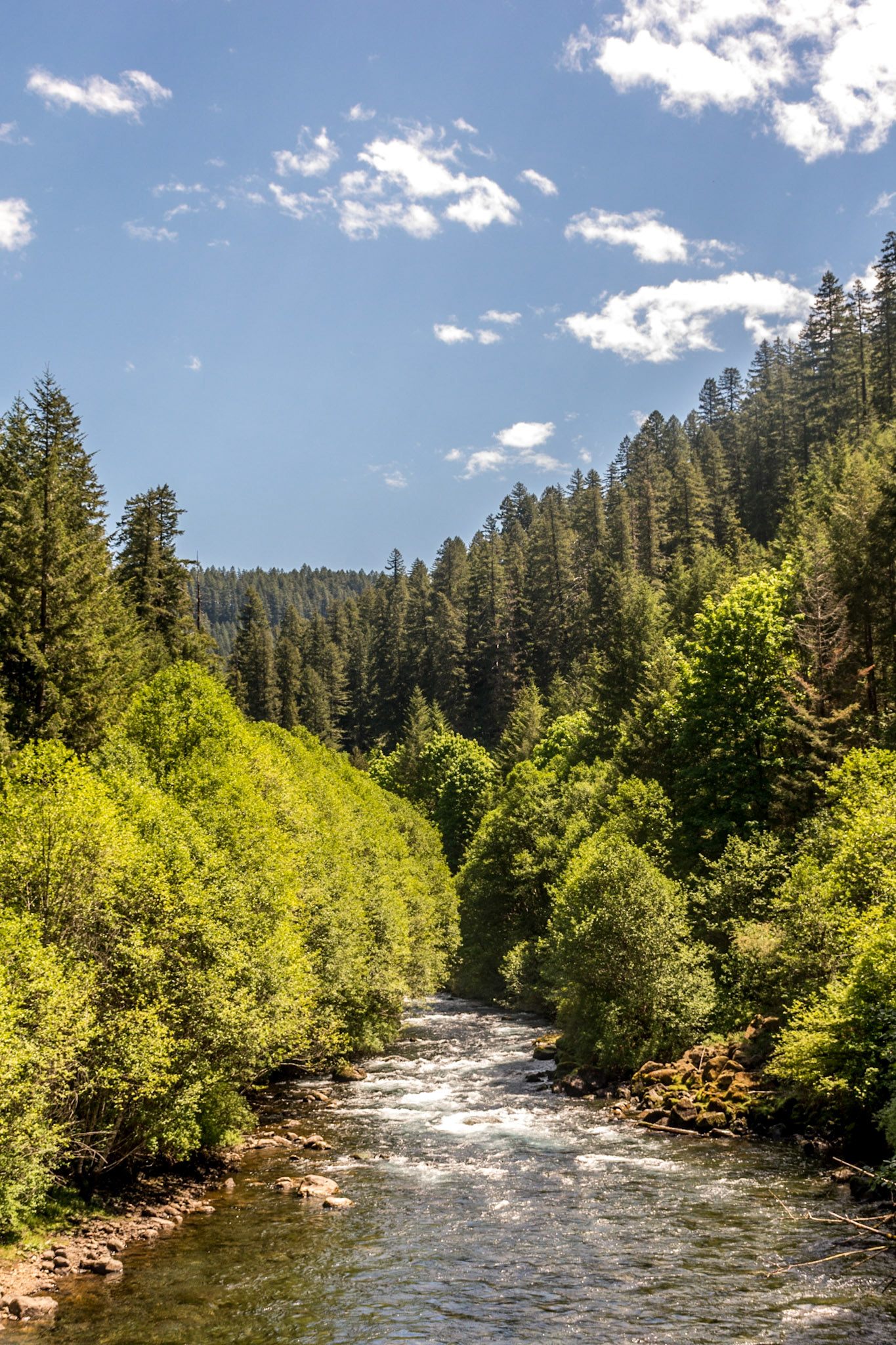 Tamolitch (Blue) Pool, Tamolitch Trailhead, Willamette National Forest, Oregon, USA