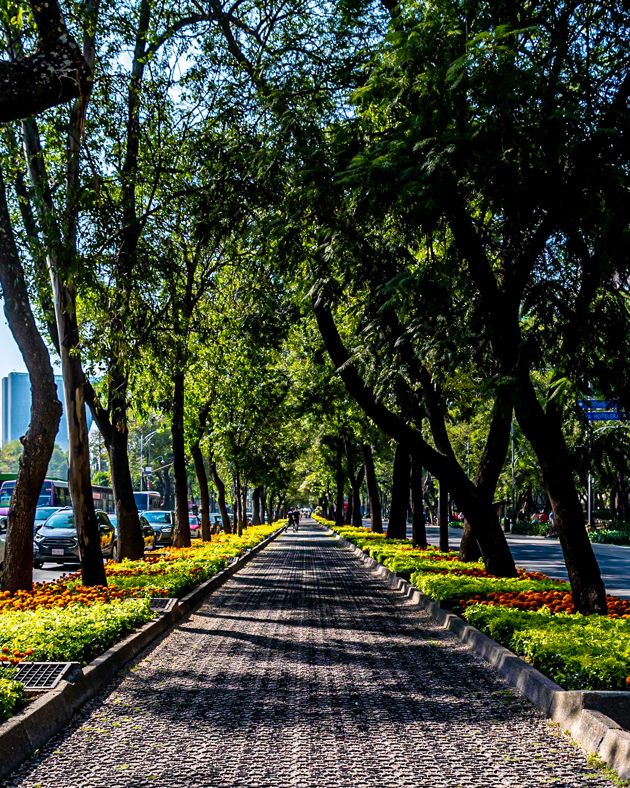 Paseo de la Reforma, Mexico City, Mexico