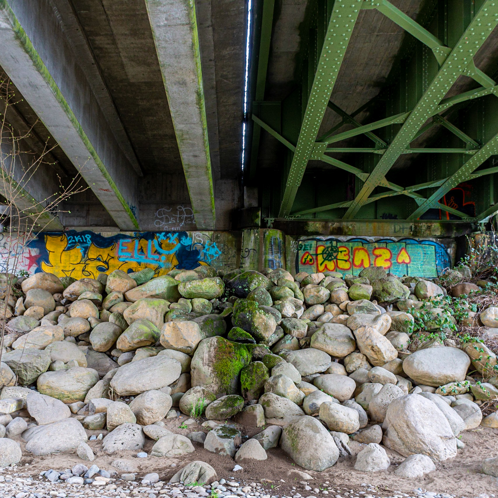 March 25. Side by Side.  Washougal River Greenway, Camas, Washington, United States