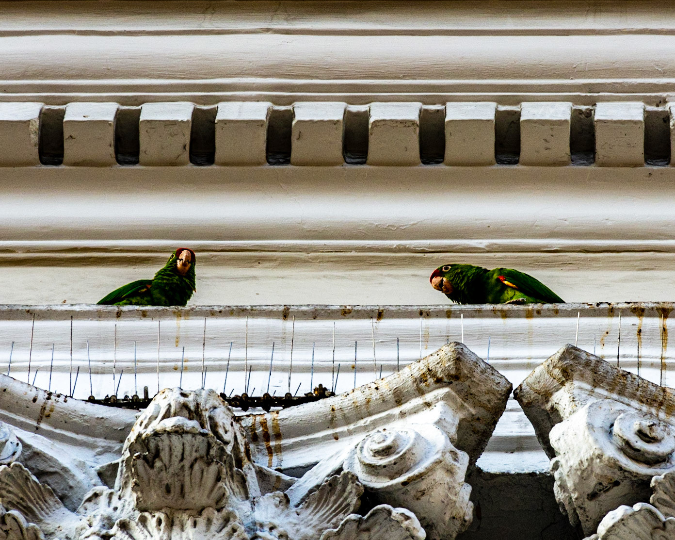 Avenida Central, San Jose, Costa Rica