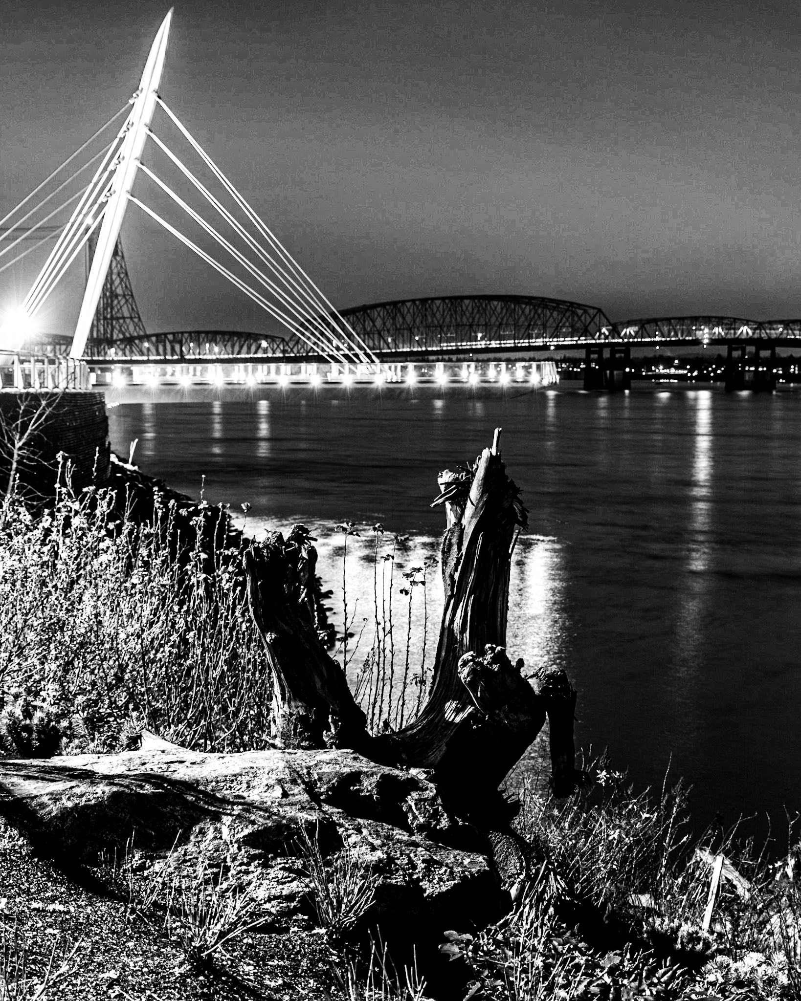 February 13. Nature and the Pier.   Vancouver Waterfront Park, Vancouver, Washington, United States