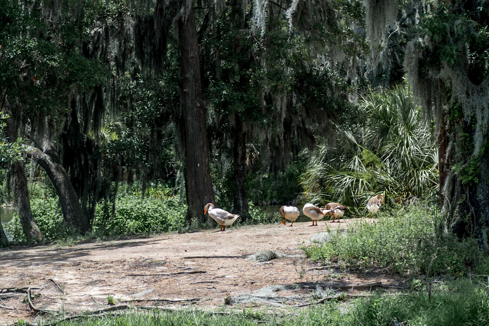 New Orleans, Louisiana, Unted States