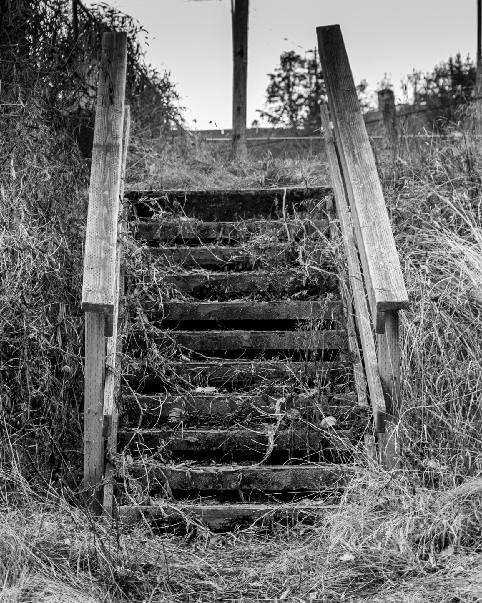 October 29. Unexpected Stairs.  Georgia-Pacific Camas Mill, Camas, Washington, United States