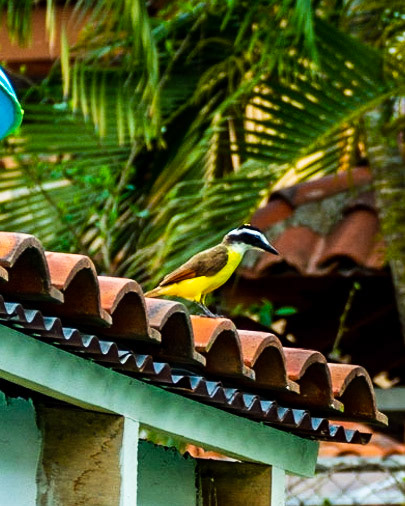 Esterillos Oeste, Coata Rica