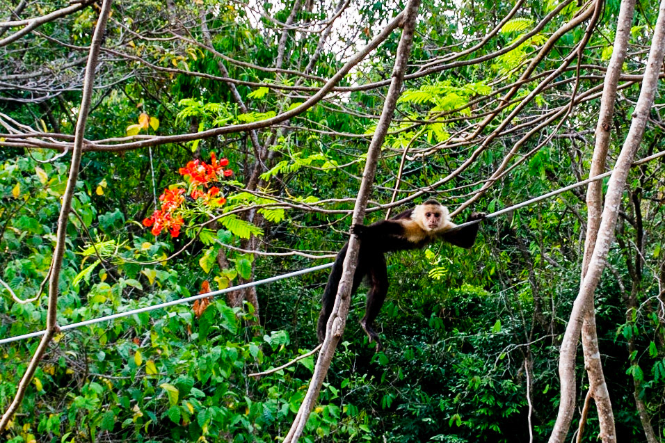Rafael's Terrazzo, Manuel Antonio, Costa Rica