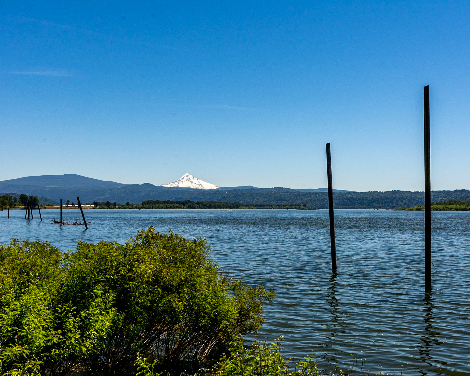 June 22. Early Summer.  Washougal Waterfront Park, Washougal, Washington, United States