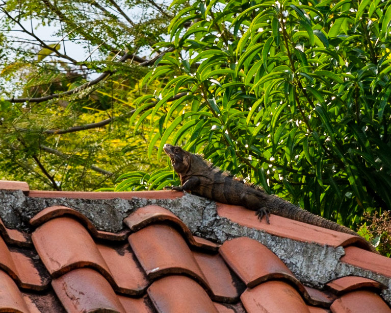 Esterillos Oeste, Coata Rica