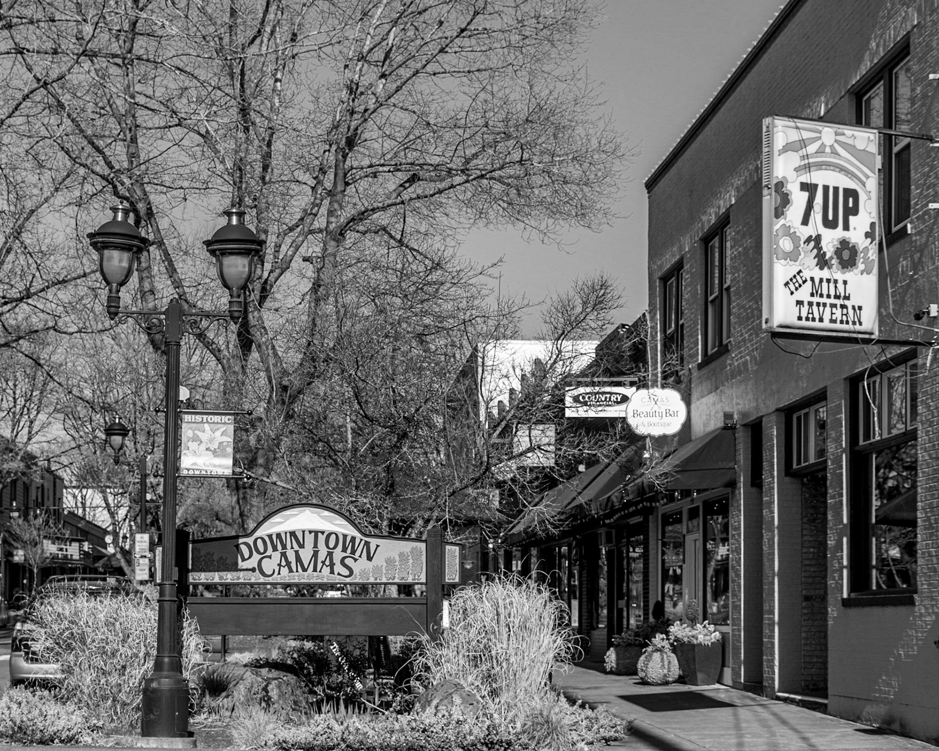 March 21. Downtown Camas.  Camas, Washington, United States