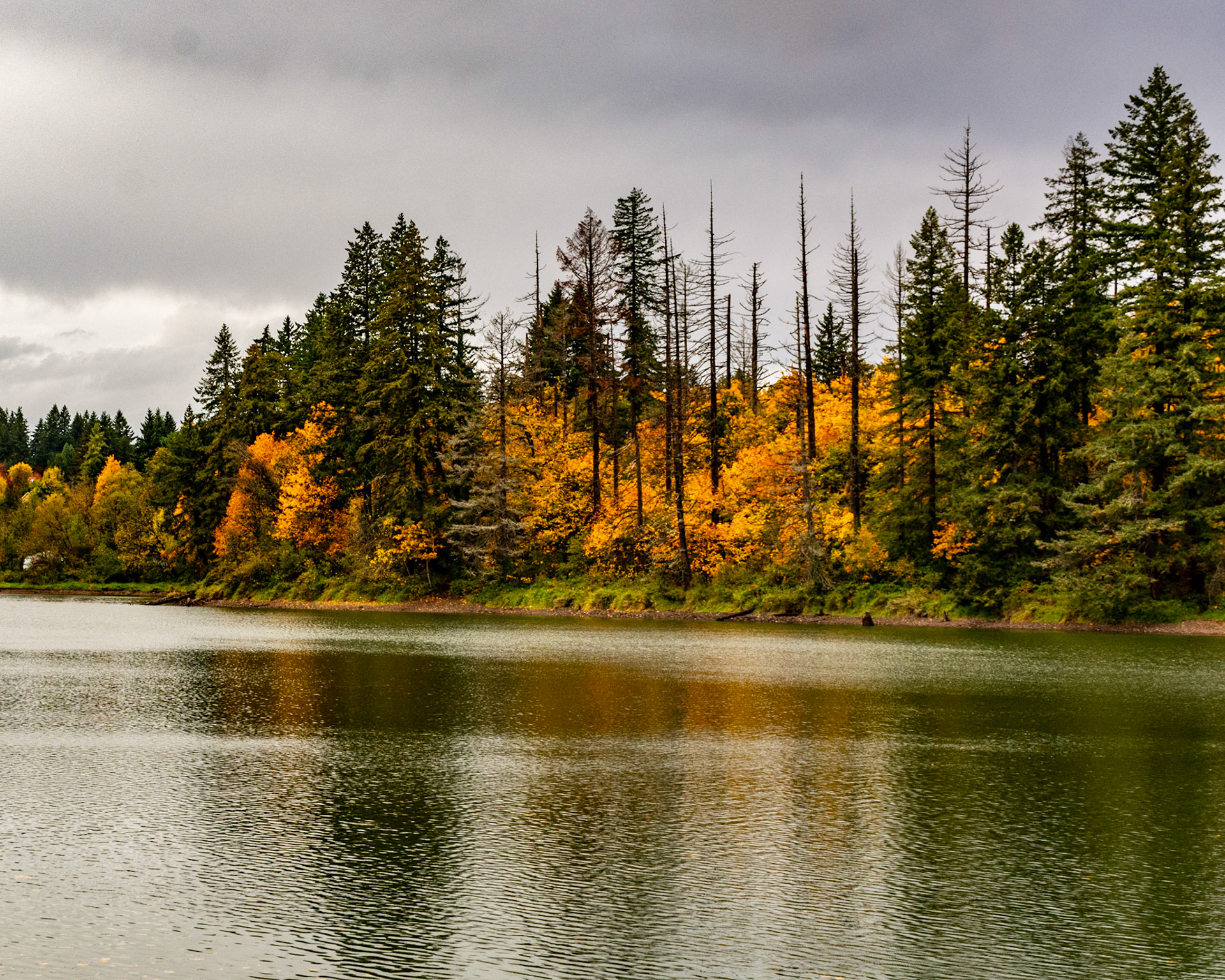 Lacamas Regional Park, Camas, Washington, United States