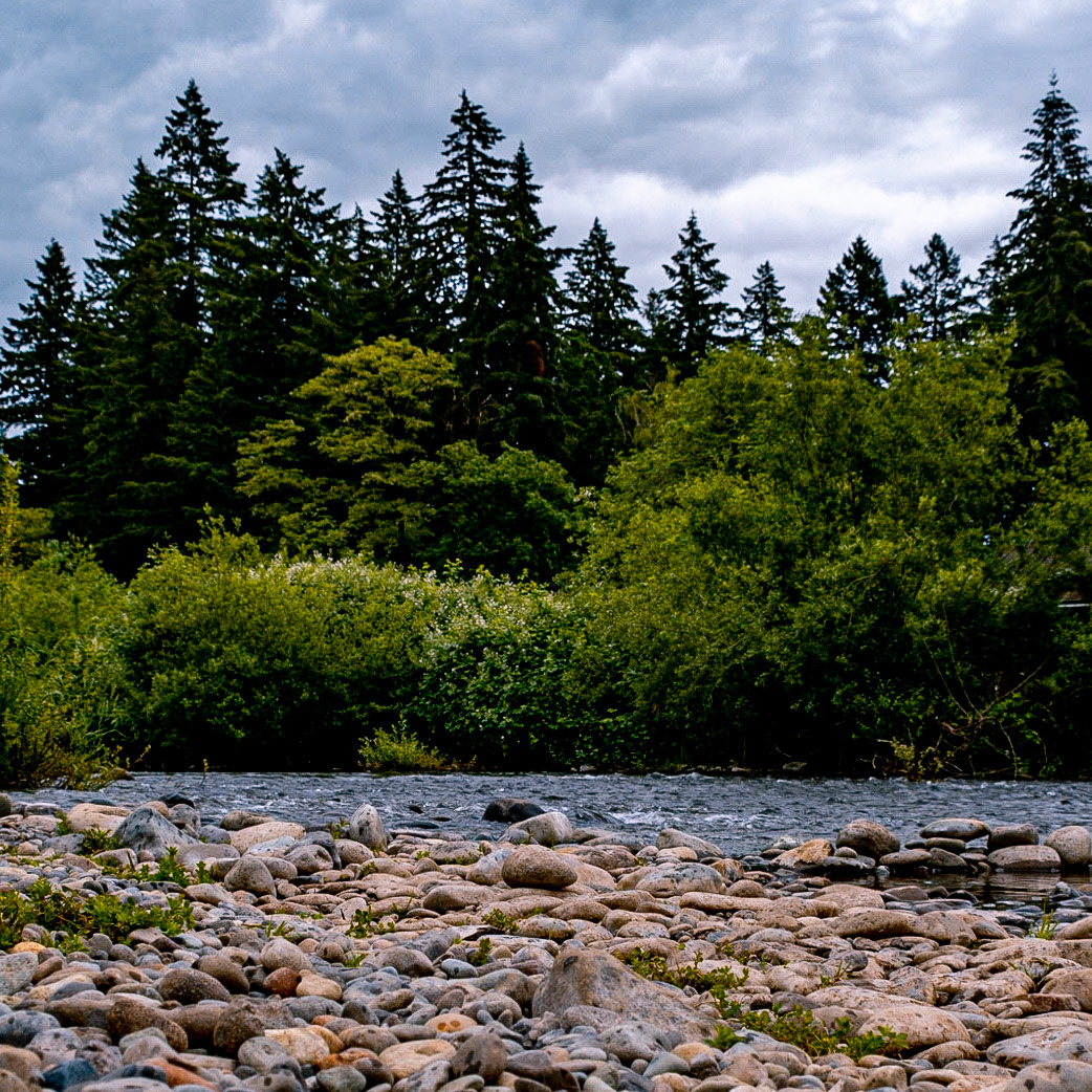 May 30. River Rocks.  Sandy Swimming Hole Park, Washougal, Washington, United States