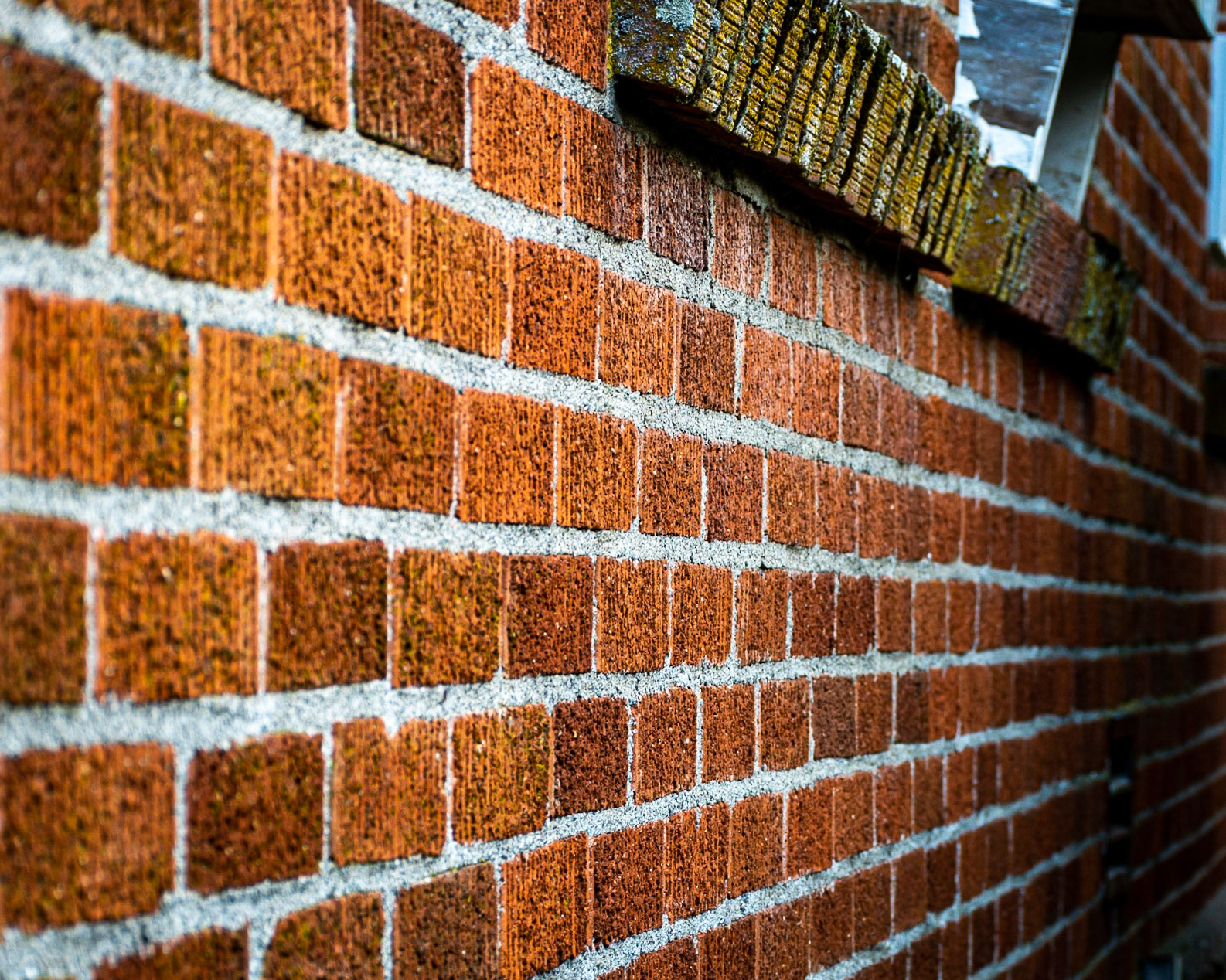 February 23. Schoolhouse Wall.   Washougal, Washington, United States