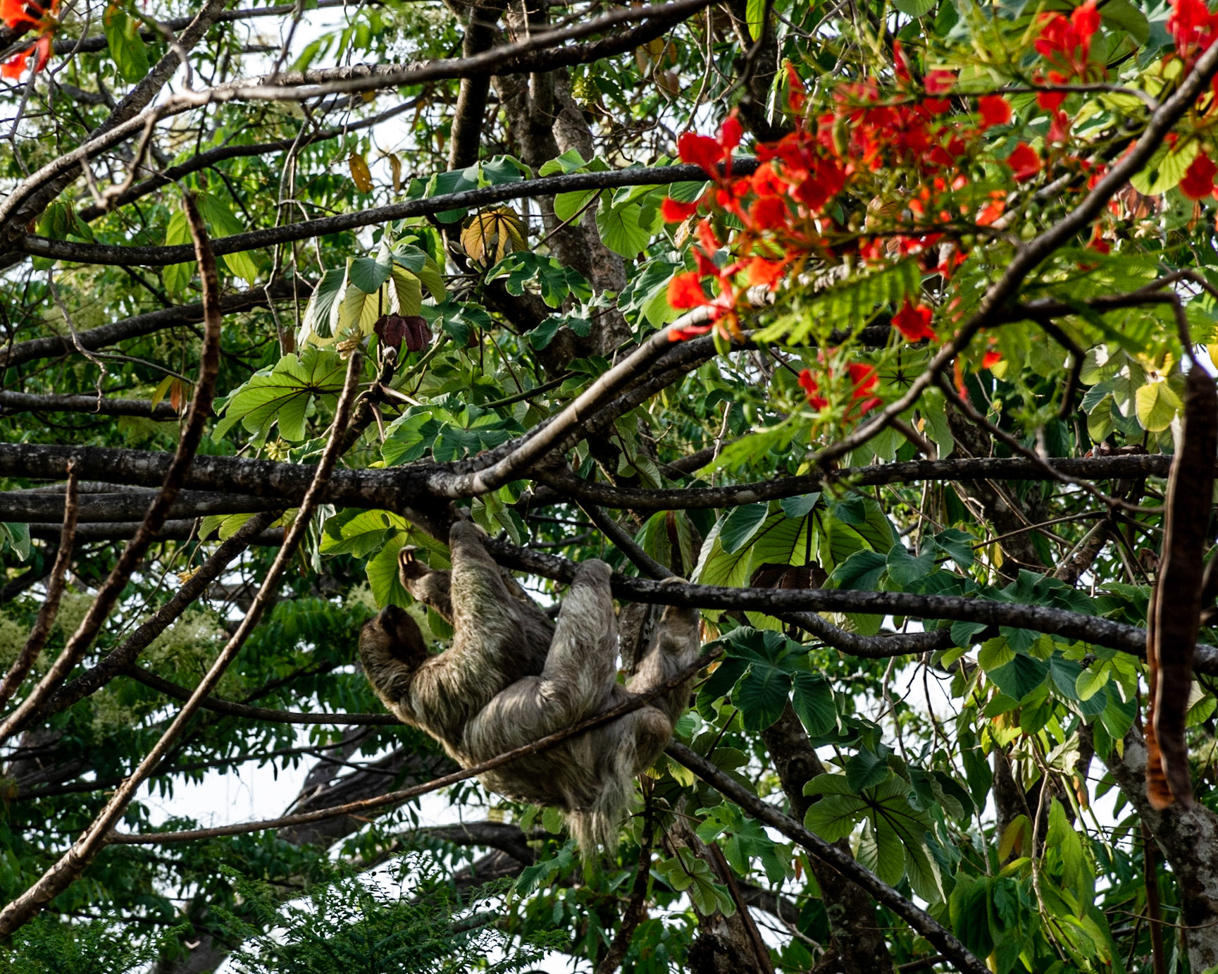 Manuel Antonio, Costa Rica