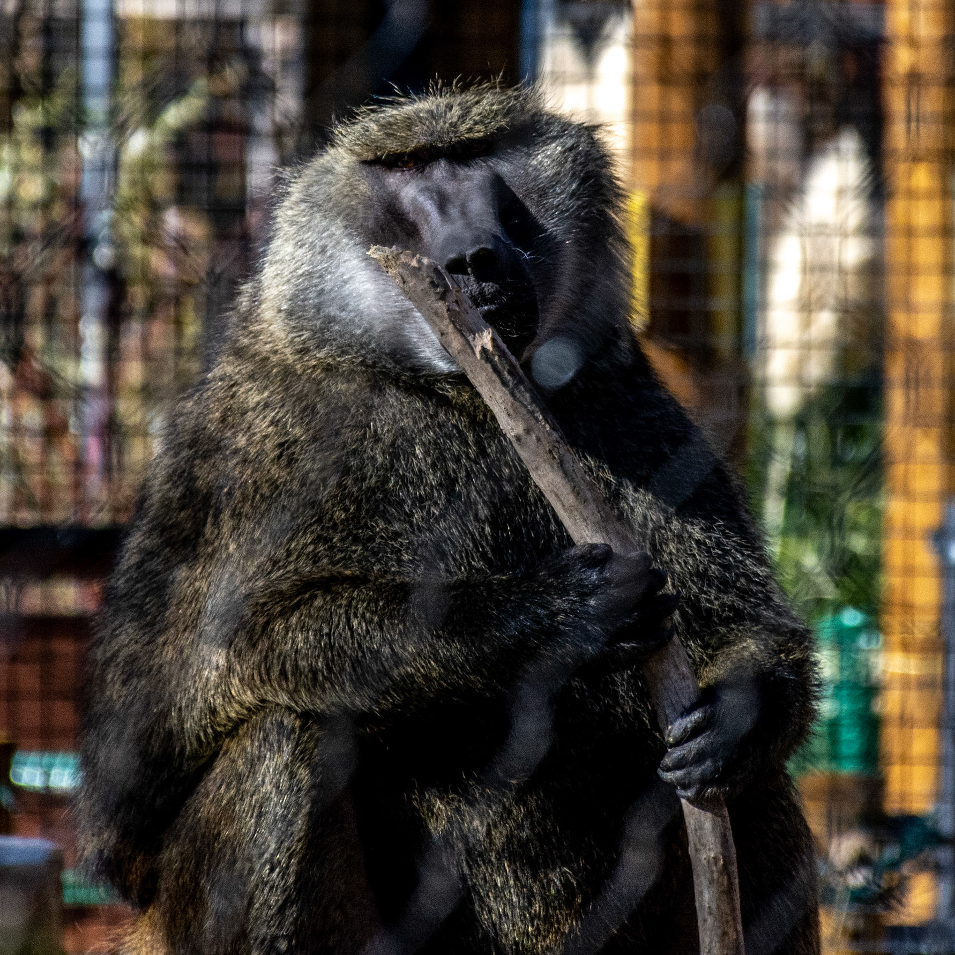 ZooBoise, Boise, Idaho, United States