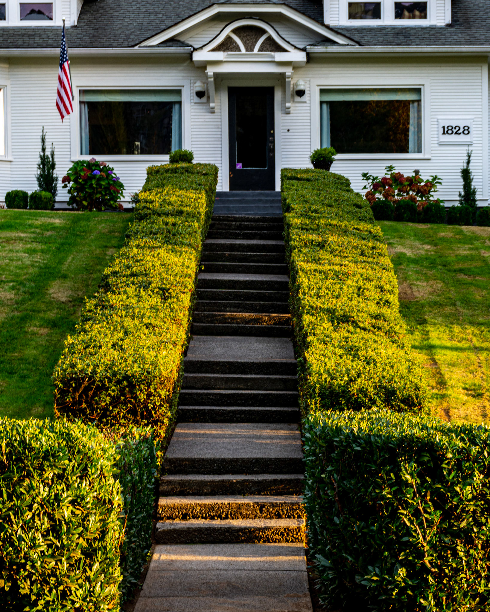 October 8. Hedge Lined.  Camas, Washington, United States
