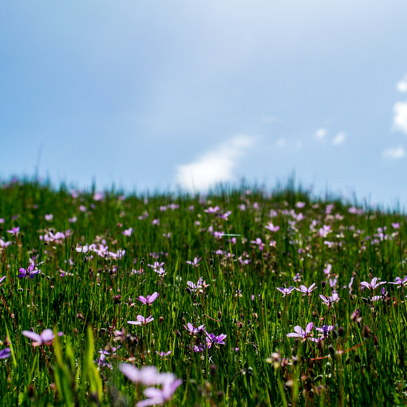 Capt. William Clark Park, Washougal, Washington United States