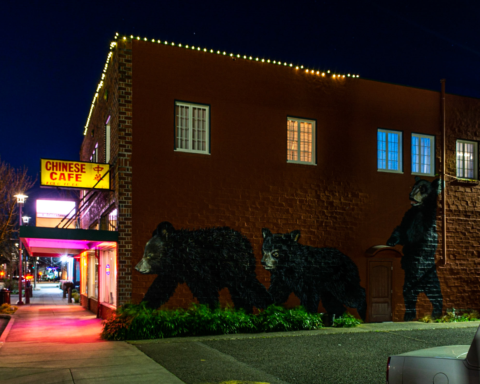 February 19. Bears!  Chinese Cafe, Washougal, Washington United States