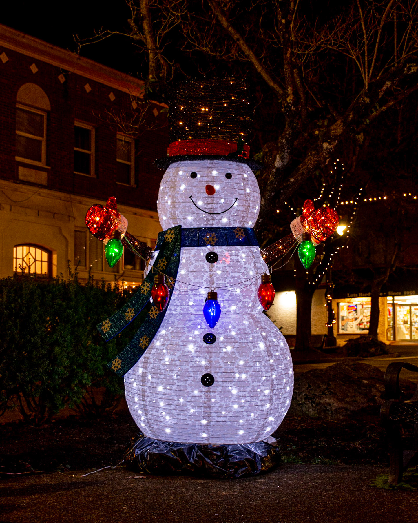 December 8. Frosty Downtown.  Camas, Washington, United States