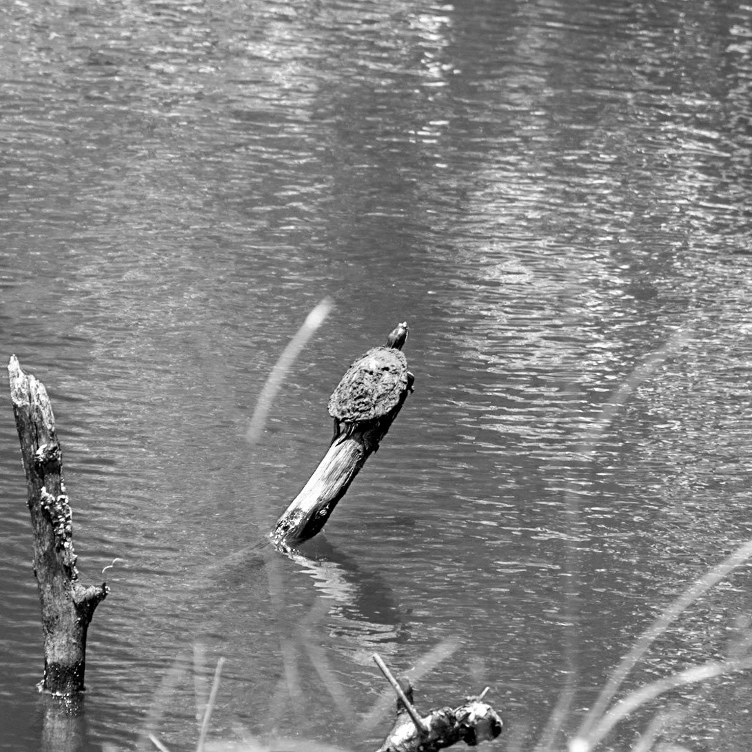 New Orleans, Louisiana, Unted States