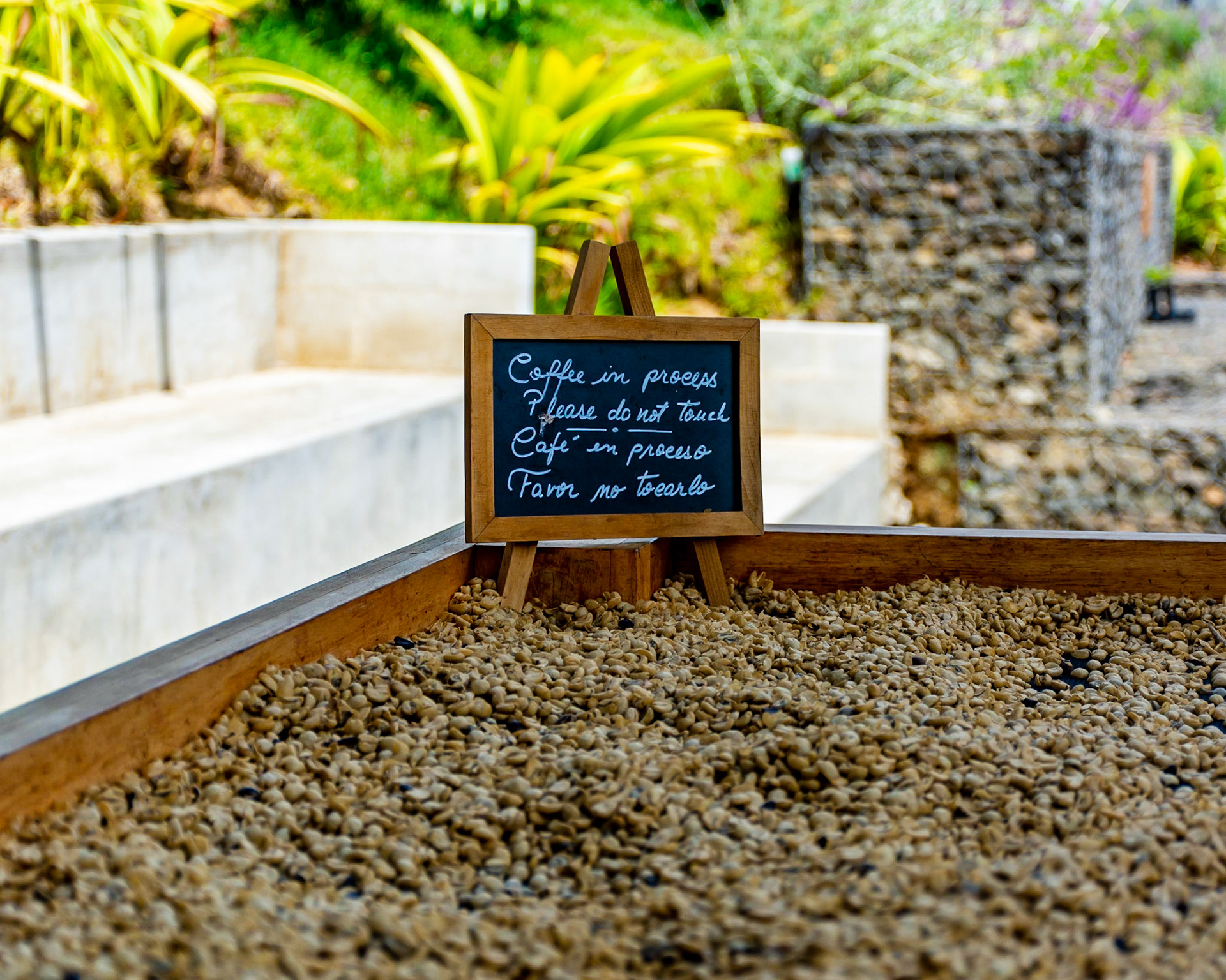 Hacienda Alsacia, Aljuela, Costa Rica