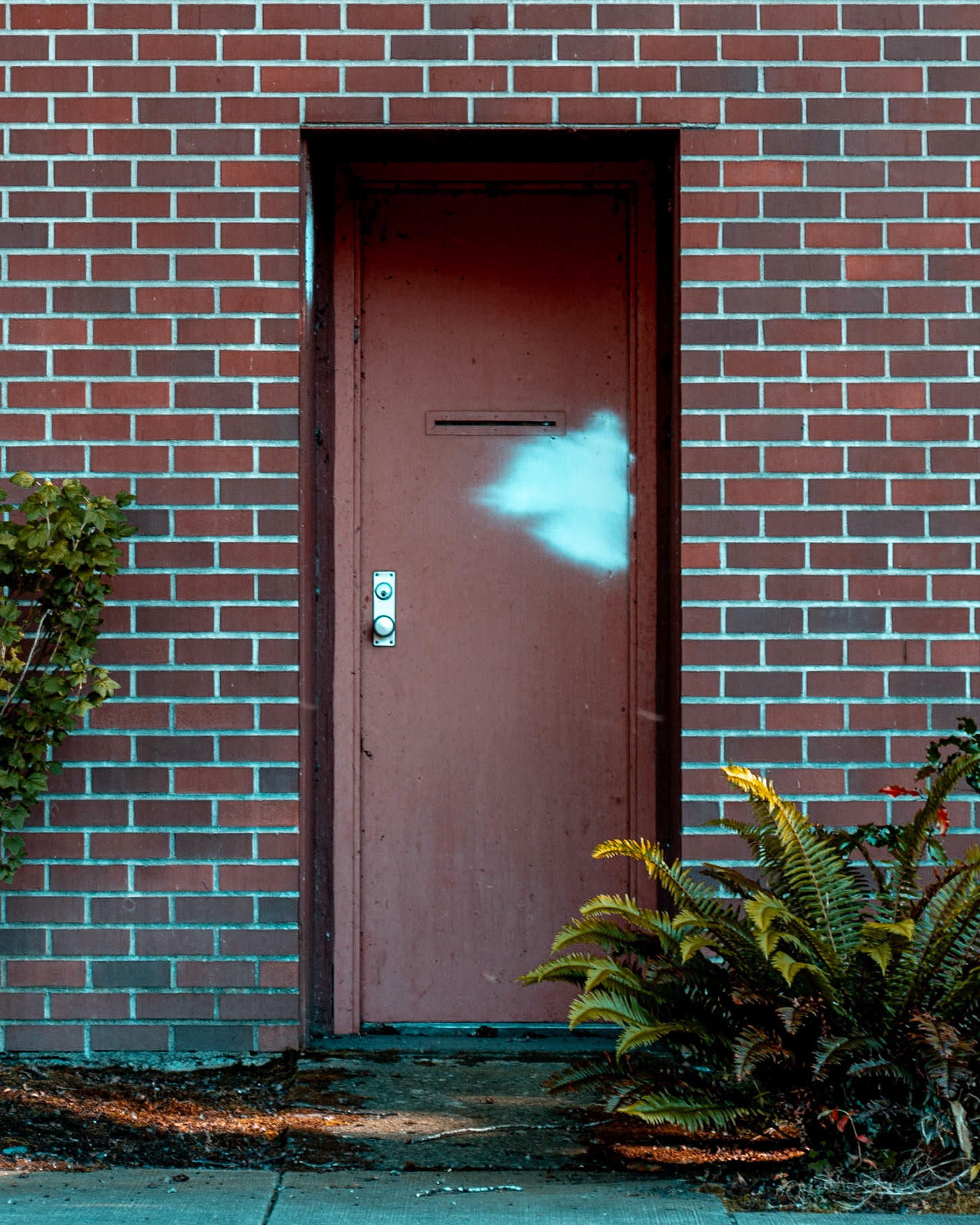 June 18. Secret Door.  USPS Washougal Post Office, Washougal, Washington, United States