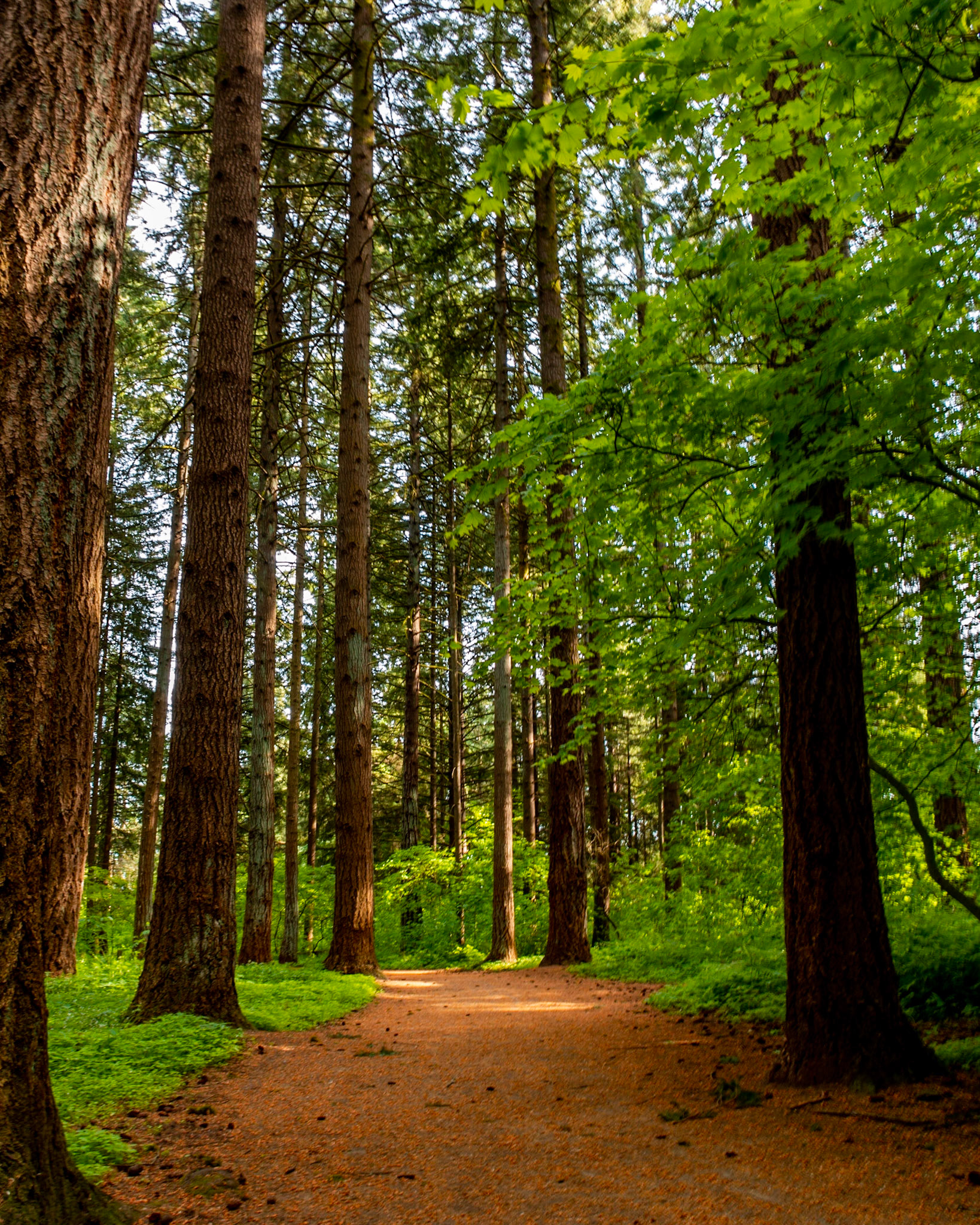 Orchards Park, Vancouver, Washington, United States