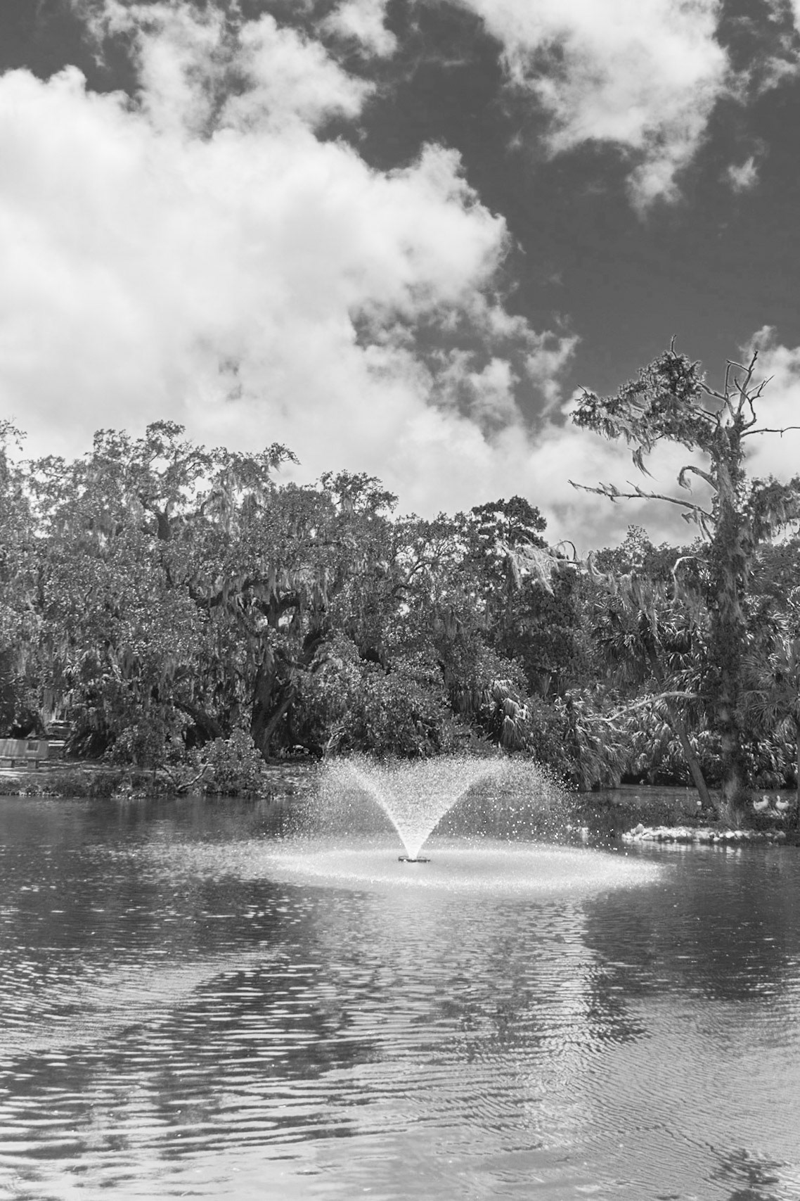 New Orleans, Louisiana, Unted States