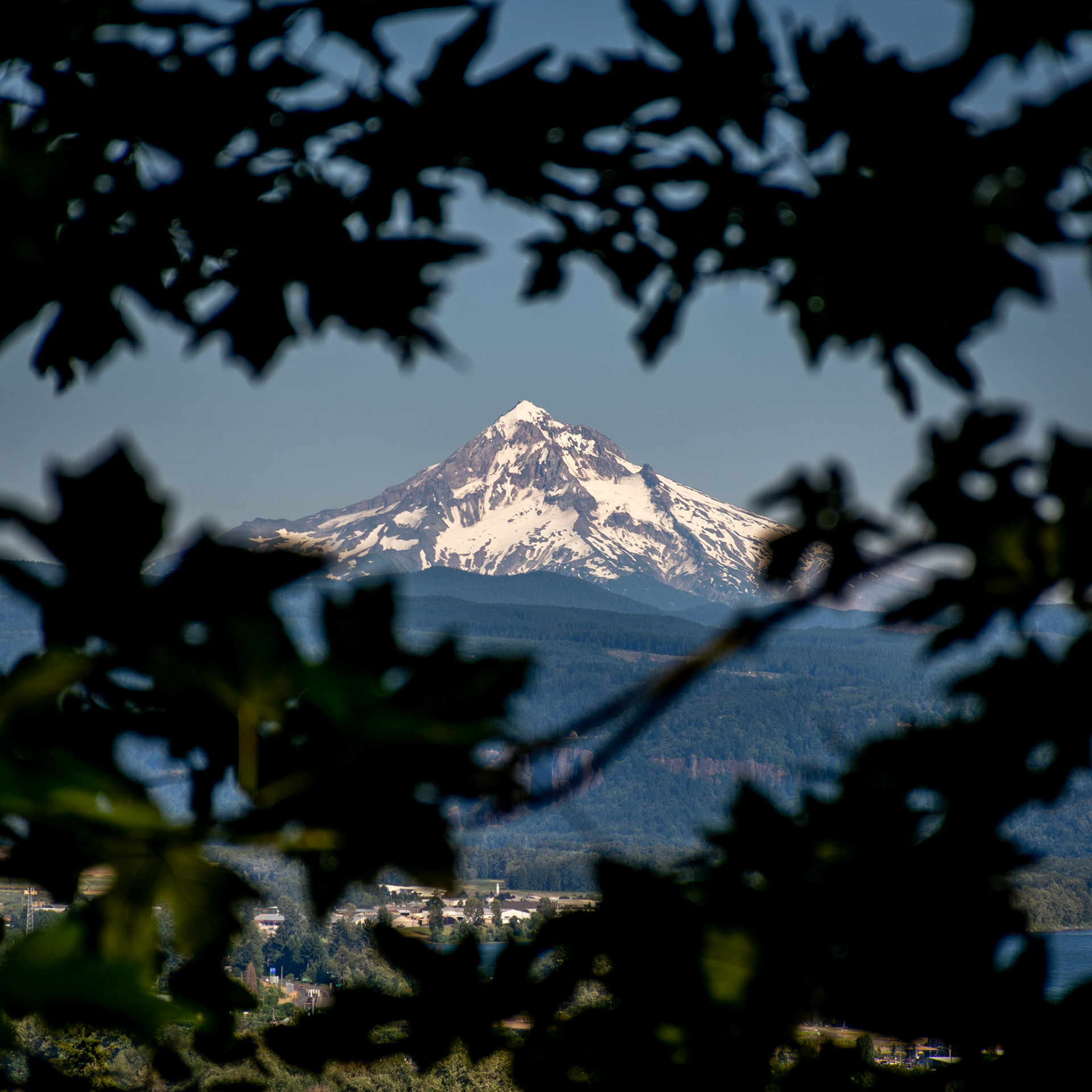 July 22. Framed Mountain.  Camas, Washington, United States