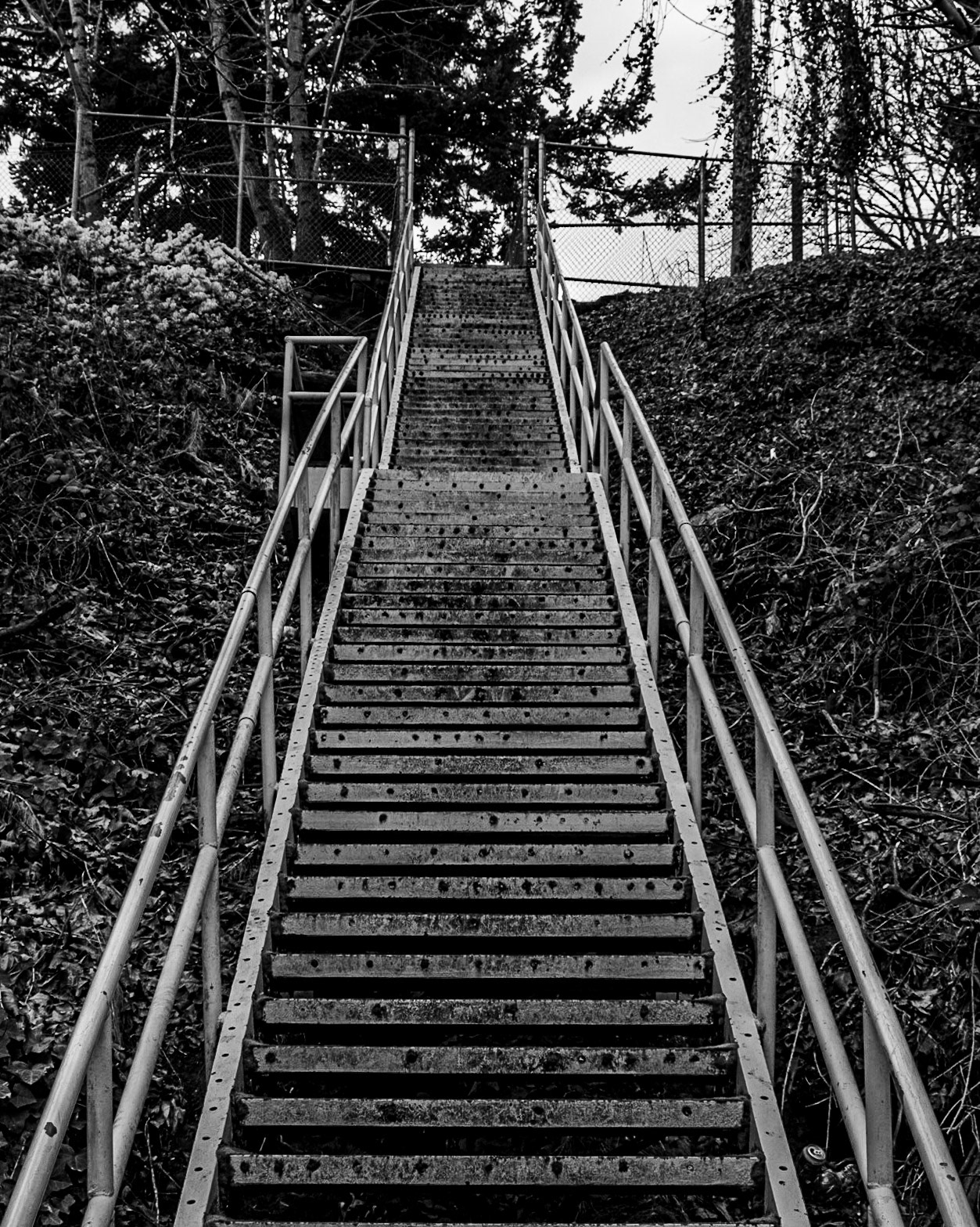 Bitch Street Stairs, Camas, Washington, United States