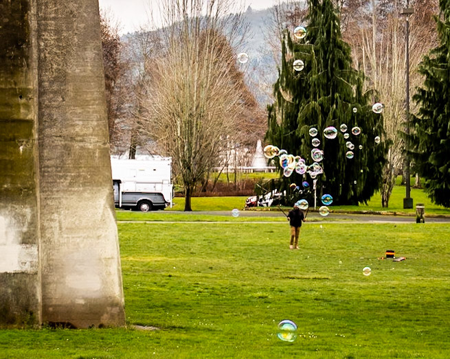 Cathedral Park, Portland, Oregon, United States