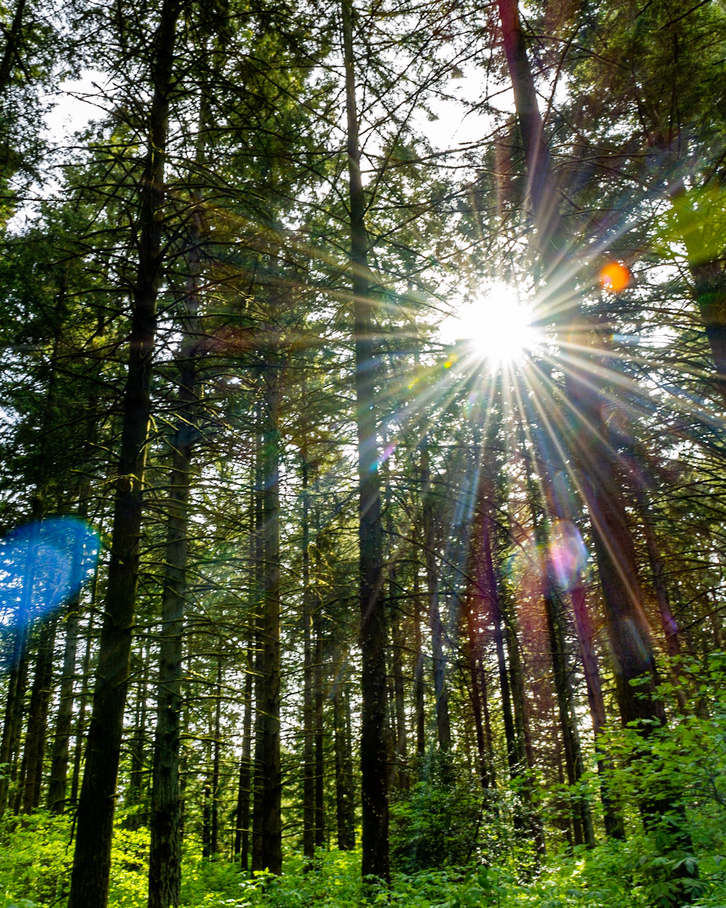 May 9. Orchards Park.  Orchards Park, Vancouver, Washington, United States