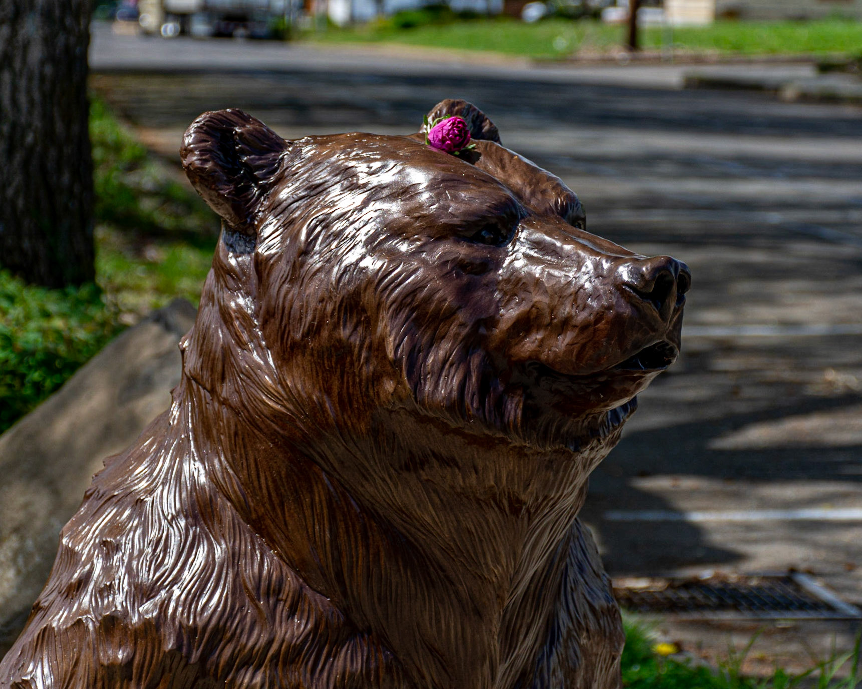 April 30. Pretty Bear.  Washougal, Washington, United States