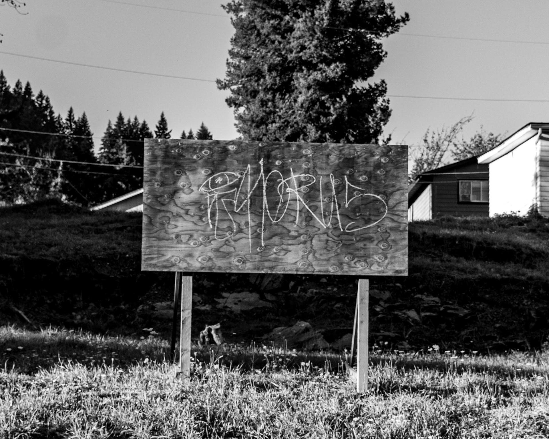 October 6. Say What?  NW Seventh Avenue, Camas, Washington, United States