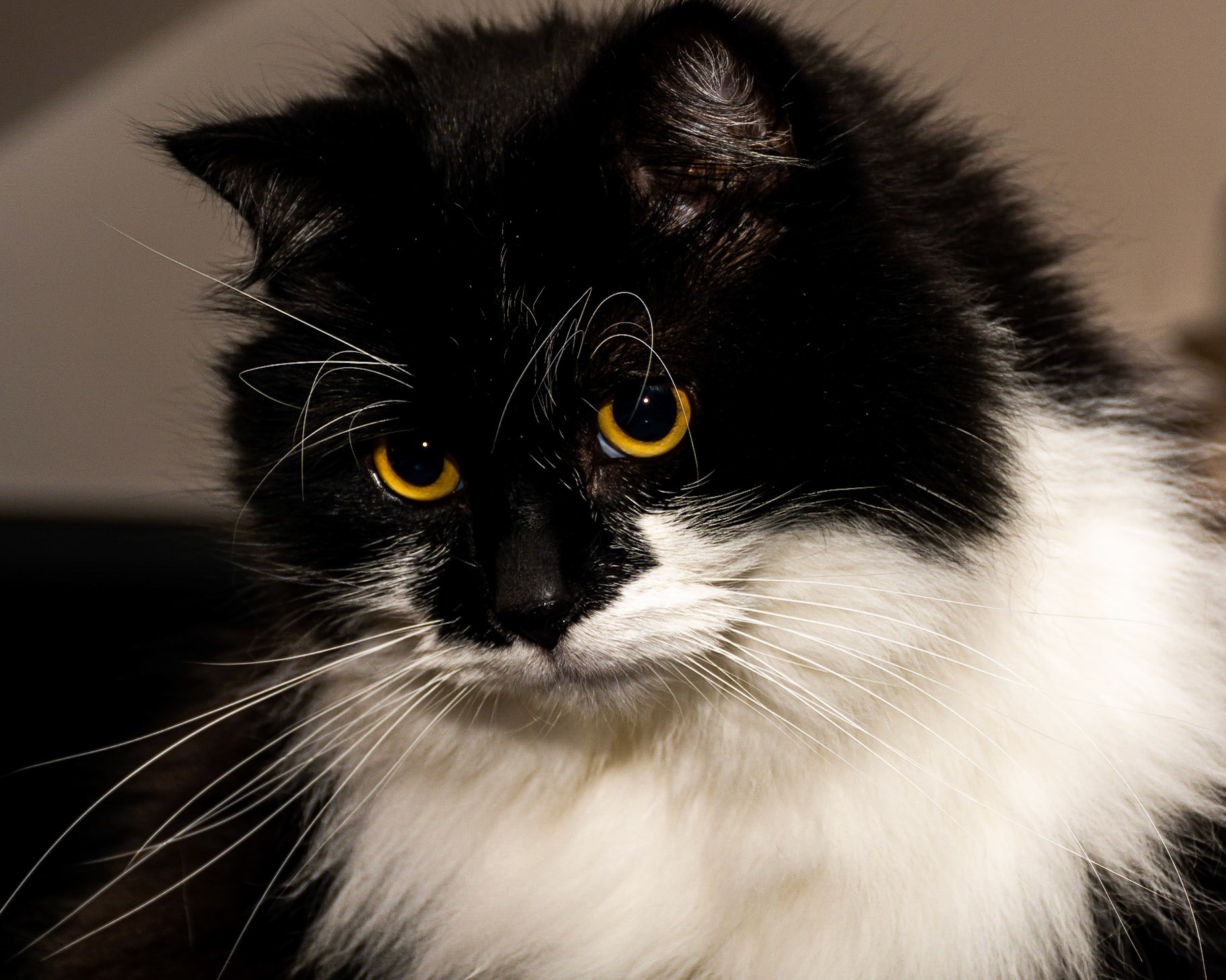 January 8. Jacoby.  Camas, Washington, United States.