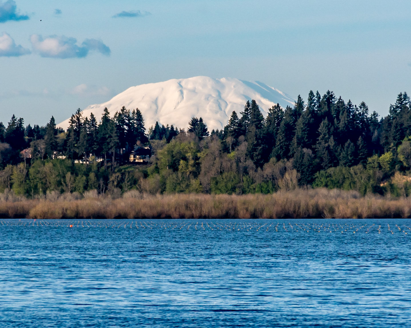 Vancouver Lake Regional Park, Vancouver, Washington, United States